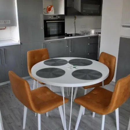 Completely Remodeled In City Center Sarajevo